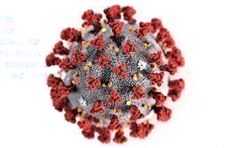 COVID-19 / Coronavirus